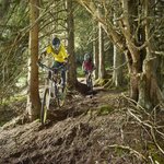 Enduro