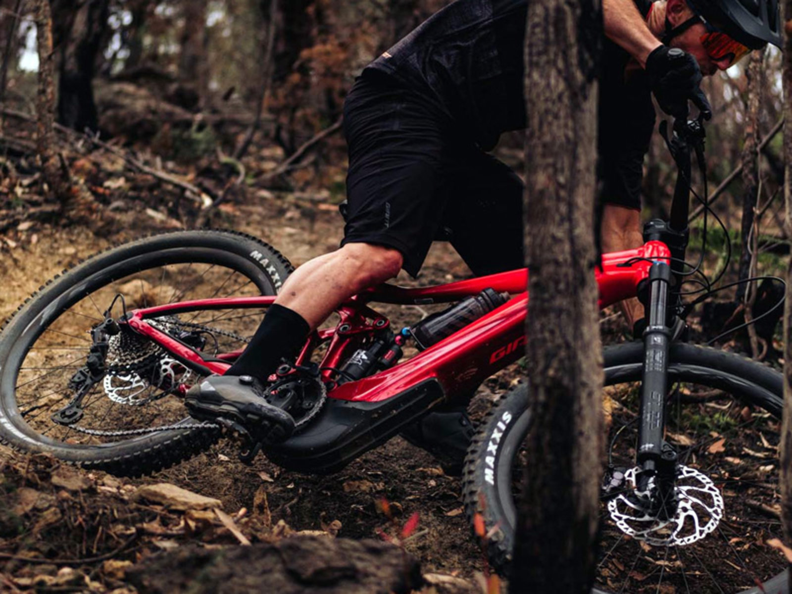 Biker im Wald