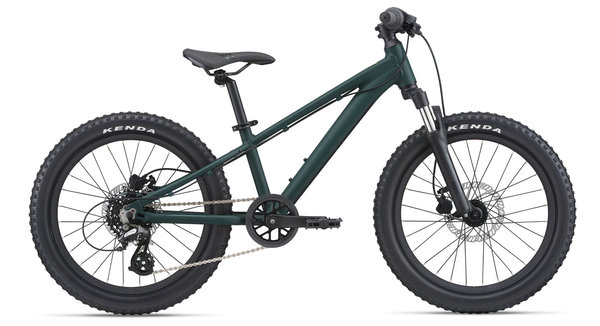 GIANT STP 20 FS