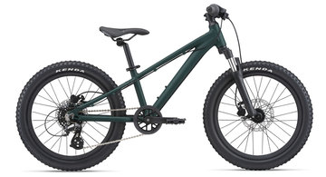 GIANT STP 20 FS