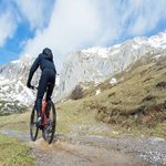 Trail